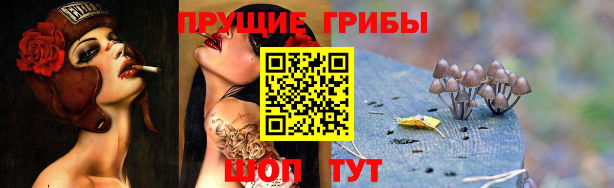 Псилоцибиновые грибы мицелий Полевской